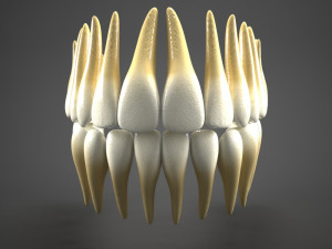 realistic mouth teeth tongue Model 3D