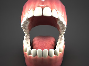 realistic mouth teeth tongue Model 3D