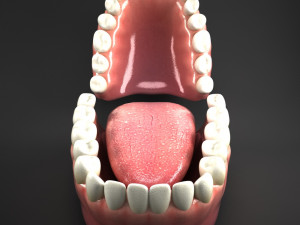 realistic mouth teeth tongue Model 3D