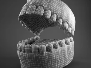 realistic mouth teeth tongue 3D Model