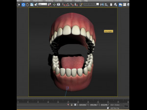 realistic mouth teeth tongue Model 3D