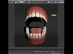 realistic mouth teeth tongue 3D Model