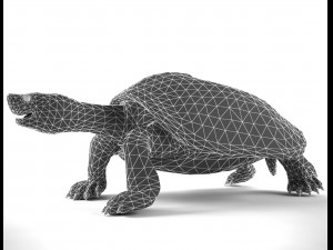 turtle 3D Модель