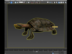 turtle 3D Модель