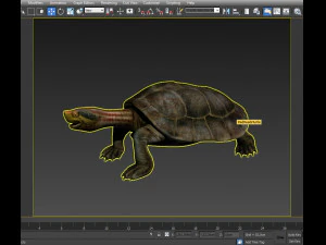tartaruga Modelo 3D