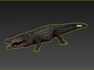 crocodile 3D-Modell