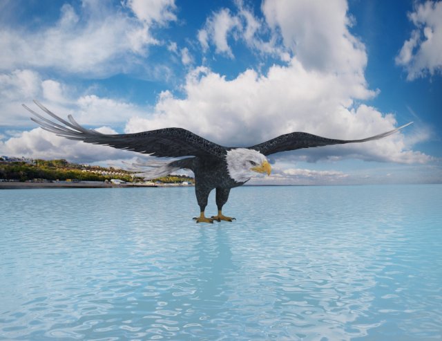 eagle Model 3D .c4d .max .obj .3ds .fbx .stl .blend 