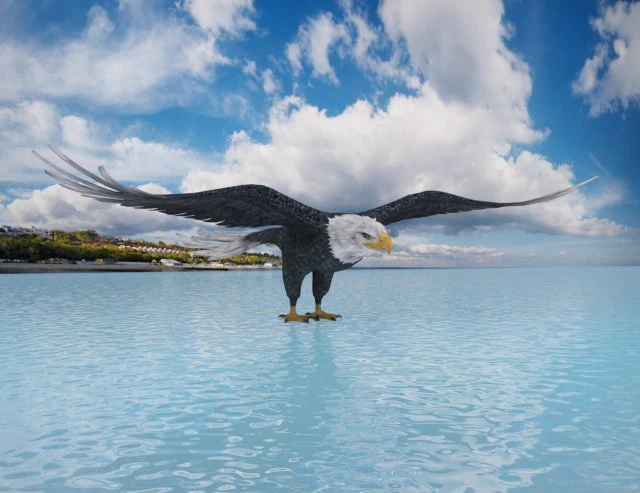 orzeł Model 3D .c4d .max .obj .3ds .fbx .stl .blend