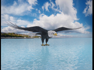 eagle 3D Model