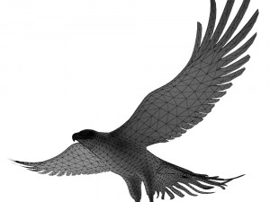 eagle Model 3D