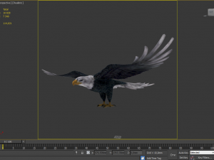 eagle Model 3D