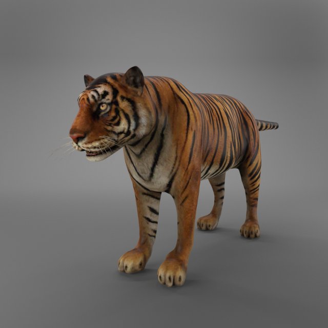 sumatran tiger 3D Model .c4d .max .obj .3ds .fbx .stl .blend 