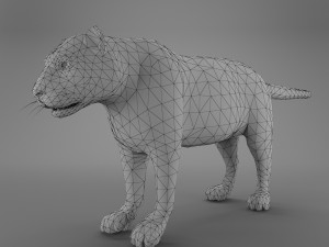 sumatran tiger 3D Model