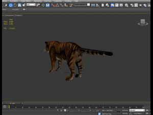 sumatran tiger 3D Model