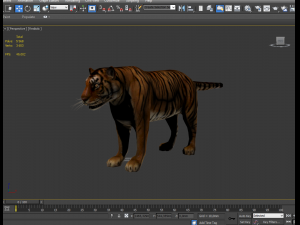 sumatran tiger 3D Model