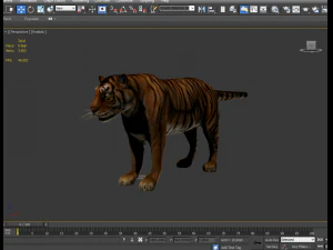 sumatran tiger 3D Model