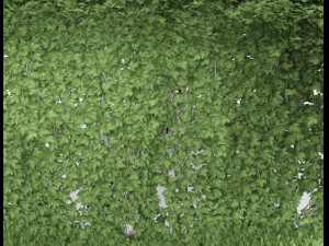 tunnel green plants 3D 模型