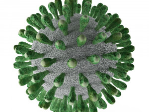 decorative coronavirus covid-19 3D Model