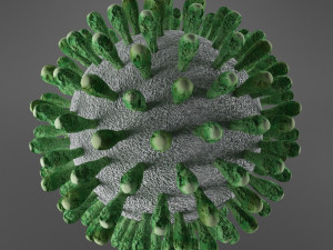 decorative coronavirus covid-19 Model 3D