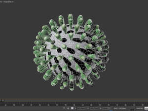 decorative coronavirus covid-19 Model 3D