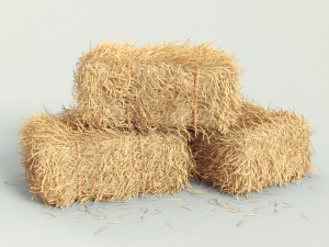 hay bale 3D Model