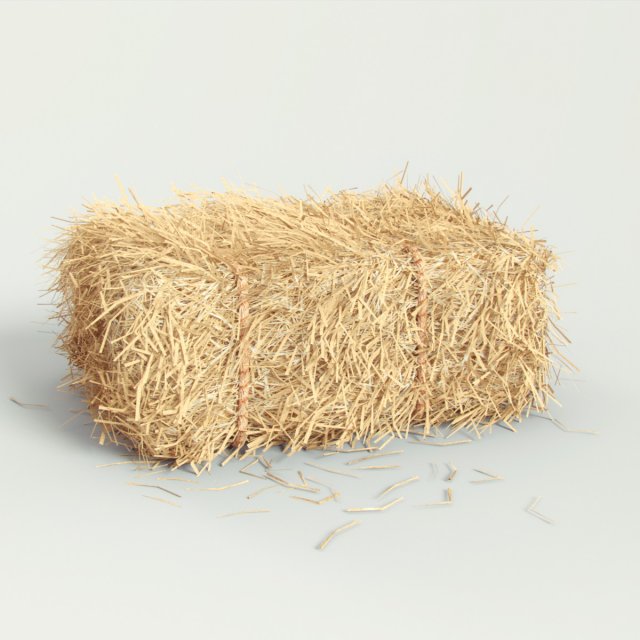 hay bale 3D Model in Grass and Ground Cover 3DExport