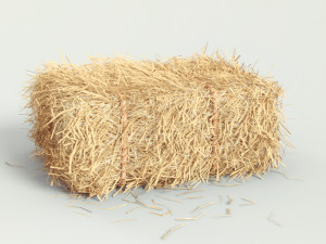 hay bale 3D Model