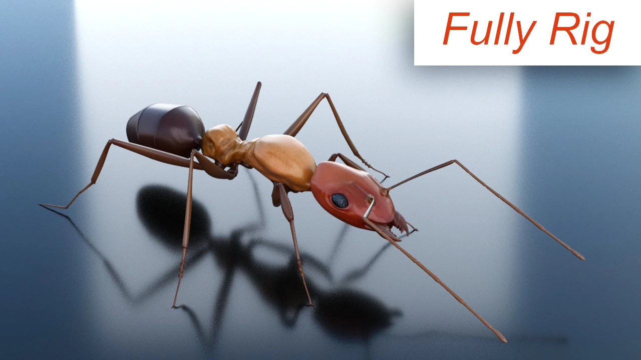 ant 3d rig low-poly 3D Model .c4d .max .obj .3ds .fbx .stl .blend 