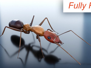 ant 3d rig low-poly 3D 모델