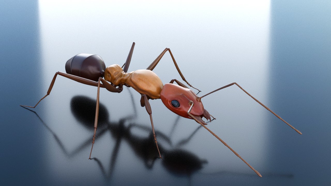 новый модель муравей. Ant 3d full. Ant 3d model. Ant 3. Ant 3.