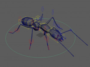 ant 3d rig low-poly 3Dモデル