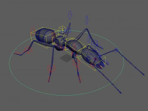 ant 3d rig low-poly 3D Model