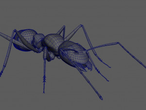 ant 3d rig low-poly 3Dモデル