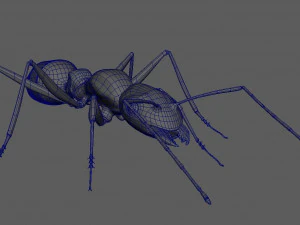 ant 3d rig low-poly 3D Model