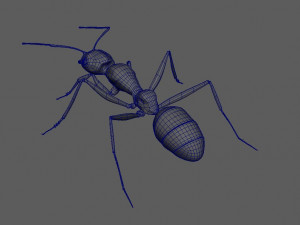 ant 3d rig low-poly 3Dモデル