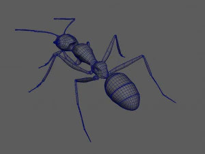 ant 3d rig low-poly 3D Model
