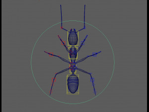 ant 3d rig low-poly 3Dモデル