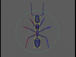 ant 3d rig low-poly 3D Model