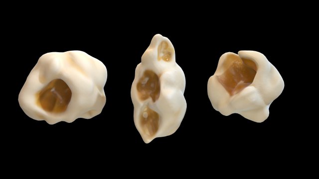 popcorn 3D Модель .c4d .max .obj .3ds .fbx .stl .blend 