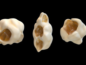 popcorn 3D 모델