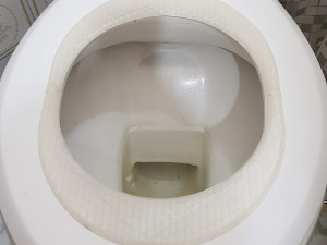 cat toilet training kit - asiento entrenador para gato 3D Print Model