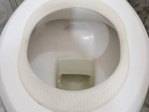 Kit di addestramento per la toilette del gatto - asiento entrenador para gato Modello di stampa 3D