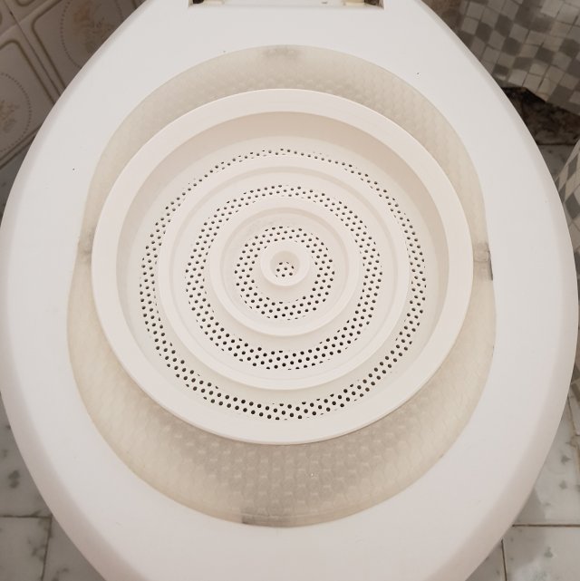 Cat toilet training kit v2 Model Cetak 3D .c4d .max .obj .3ds .fbx .stl .blend