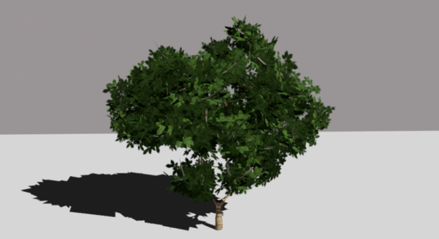tree 3D 모델 .c4d .max .obj .3ds .fbx .stl .blend 