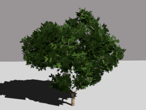 tree 3D Model
