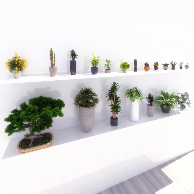 potted green plants Model 3D .c4d .max .obj .3ds .fbx .stl .blend 
