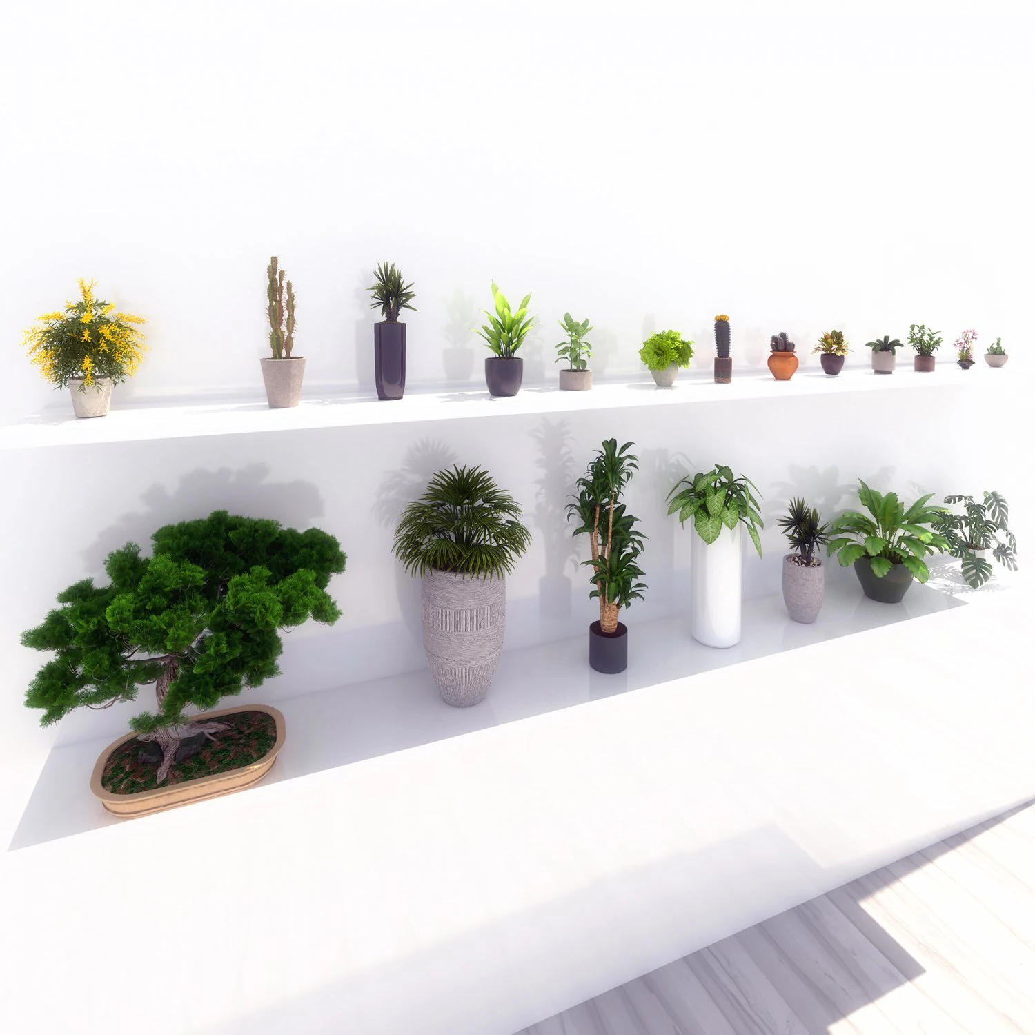potted green plants 3D Model .c4d .max .obj .3ds .fbx .stl .blend 