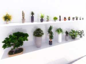 potted green plants 3D Model