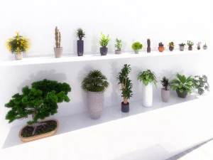 зеленые растения в горшках 3D Модель