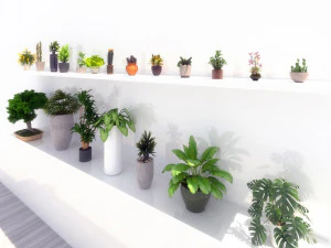 potted green plants 3D Model